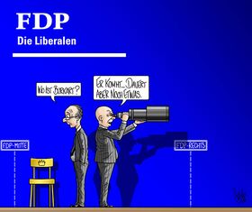 FDP, Schweiz, Partei, Praesident, Thierry Burkart