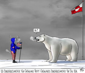 Grönland, Sondergesandter, USA, Trump, Eisbär, Dänemark