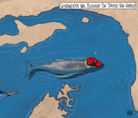 Trump, Iran, Krieg, Irankrieg, Hormuz, Strasse von Hormus, Wal, Timmy, Deutschland