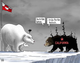 Trump, Grönland, USA, Kalifornien, Waldbrand, Eisbär, Bär