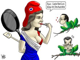Sarkozy, Hollande, La France