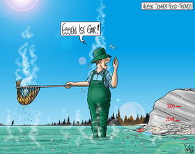 Hitze, Hitzewelle, Heiss,  Klima, Wetter, Klimawandel, Trockenheit, Fische