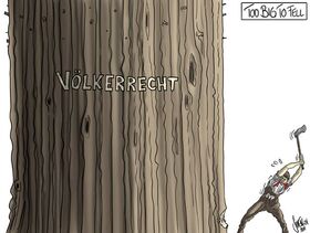 SVP, Blocher, Völkerrecht, Menschenrechte