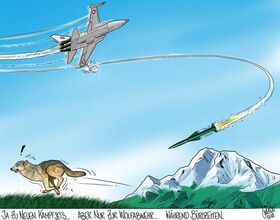 Abstimmung, Wolf, Kampfjet, Schweiz