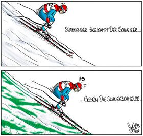 swissski, Schladming, Ski-WM