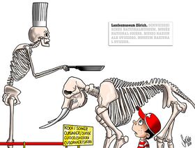 Koch, kochen, Schweiz, Gastronomie