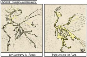 Nahost, Gaza, Israel, Palaestina, Hamas, Aathal, Archaeopteryx