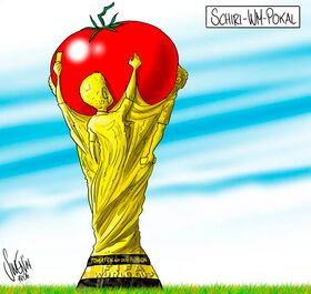 FIFA, Fussball-WM, Brasilien, Schiedsrichter